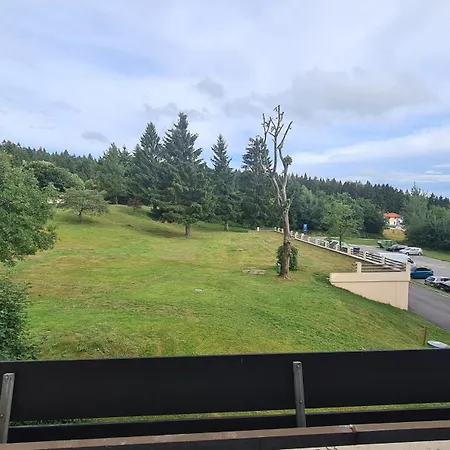 King Luftkurort Bayerischen Wald Lejlighed Sankt Englmar