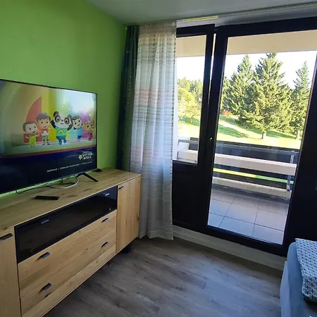Apartment King Luftkurort Bayerischen Wald *