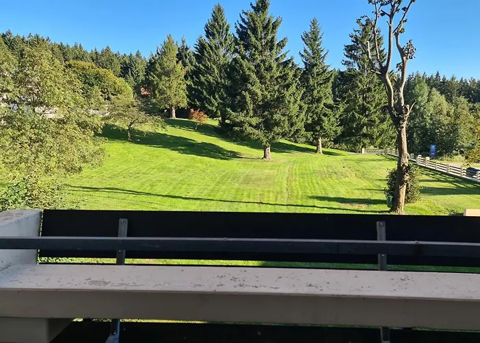 Апартаменты King Luftkurort Bayerischen Wald Санкт-Энгльмар